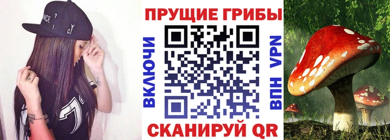 OMG как зайти наркота Сретенск Галлюциногенные грибы Magic Shrooms
